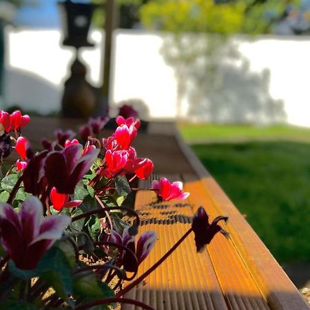 ホテル Onehunga Garden Tinyhouse With Parking オークランド エクステリア 写真
