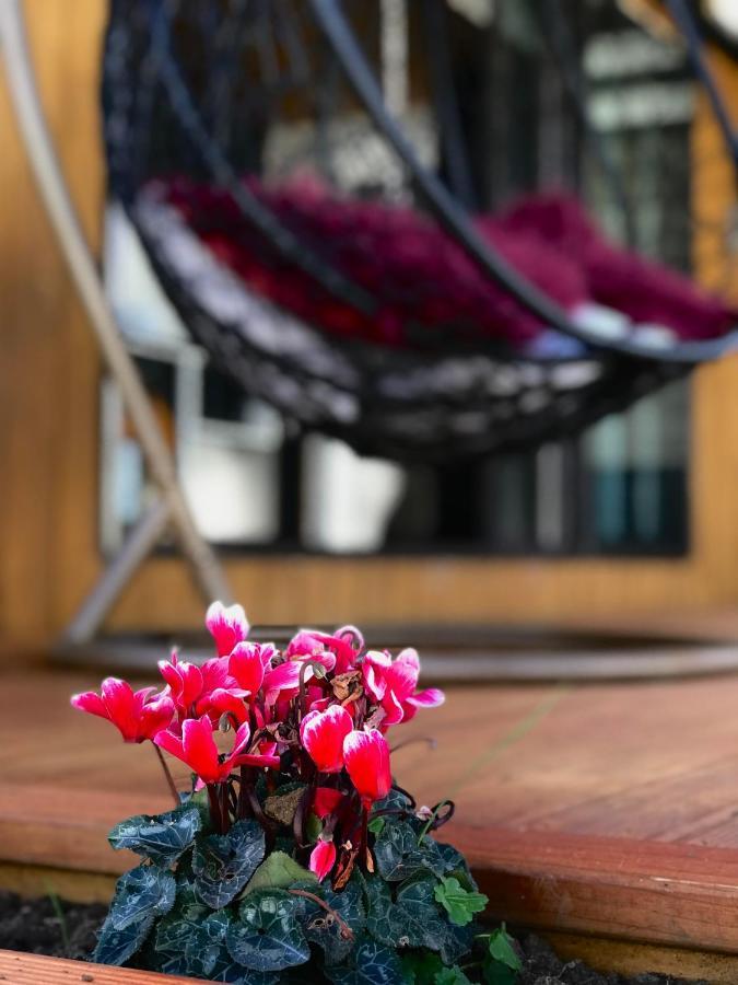 ホテル Onehunga Garden Tinyhouse With Parking オークランド エクステリア 写真